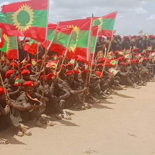 Tweeter Campaign - OLA is Oromo